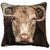 Bull Gaze Pillow