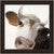 Bull Pose Canvas Art