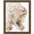 Bull Watch Canvas Art