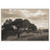 California Evening Framed Canvas
