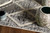 Charcoal Diamonds Rug - 12 x 15