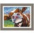 Curious Cow I Framed Print