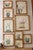 Desert Flowers Framed Prints - Set of 9