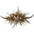 Destry Double Horn Centerpiece