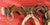 Double Ox Yoke Coat Rack