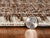 Douglas Indoor/Outdoor Rug - 8 x 11