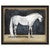Equestrian Studies V Framed Print