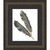 Feathers I Framed Print
