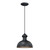 Founder Outdoor Pendant Light - Oil Burnished Bronze