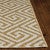 Fredonia Indoor/Outdoor Rug - 3 x 4