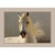 Graceful Horse Framed Canvas