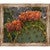 Grand Canyon Cactus Framed Canvas