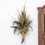 Gus Horn Wall Sconce
