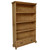 Hawkins Bookcase with Two Drawers