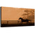 Heading for the Sun Gallery Wrapped Canvas