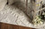 Holbrook Rug - 9 x 13