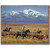 Homeward Bound Blanket