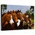 Horse Best Friends Gallery Wrapped Canvas