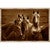 Horse Quartet Framed Canvas