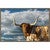 Majestic Longhorn Framed Canvas