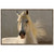 Mane Canvas Art