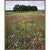 Noon on the Prairie Framed Canvas