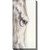 Pale Eye Indoor/Outdoor Canvas Art