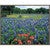 Prairie Flower Field Framed Canvas
