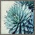 Prickly Desert I Canvas Art