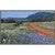 Red, White and Blue Hill Framed Canvas