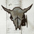 Buffalo Skull Curtain Rod Brackets