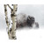 Snow Bison Personalized Block Mount - 20 x 16