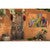 Southwest Botanicals V Canvas Art
