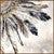 Southwest Plumage II Canvas Art