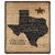 Texan Pride Tapestry Throw