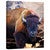 Texas Bison Canvas Wall Art