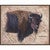 Texas Buffalo Framed Canvas