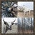 The Country IV Mirror Wrapped Framed Canvas