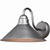 Trailhead 12 Inch Outdoor Wall Sconce - Pewter