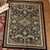 Tribal Echoes Deepwoods Rug - 4 x 5
