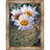 Tucson Cactus Framed Canvas