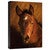 What's Up Gallery Wrapped Canvas