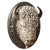 White Buffalo Head Mount