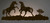 Wild Horses Back Lit Wall Art
