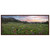 Wildflower Framed Canvas