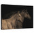 Young Mustangs Gallery Wrapped Canvas