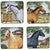 Horse Ranch Salad Plates - Set of 4