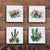Blooming Desert Coasters - Set of 4