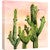 Abstract Cactus Wall Art