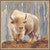 White Bison Wall Art